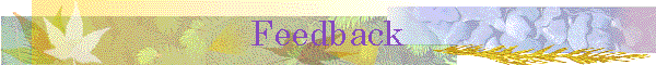 Feedback