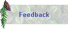 Feedback
