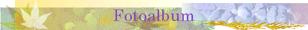 Fotoalbum