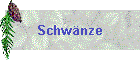 Schwnze